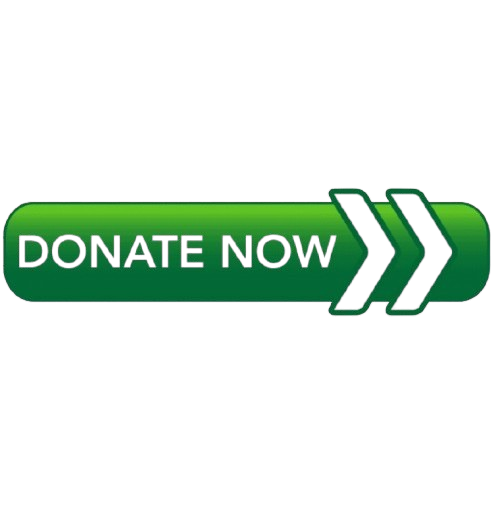 Donate Now